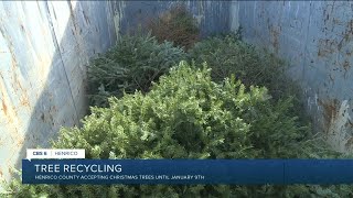 Here are the places you can take your Christmas tree for recycling
