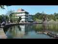 奈良・猿沢池のカメと興福寺の五重塔