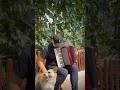 Accordion Improv with a Playful Dog 🐶🎶 #Accordion #Improv #MusicAndPets #PetVibes #AccordionMusic