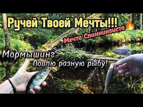 Ручей Твоей Мечты!!!