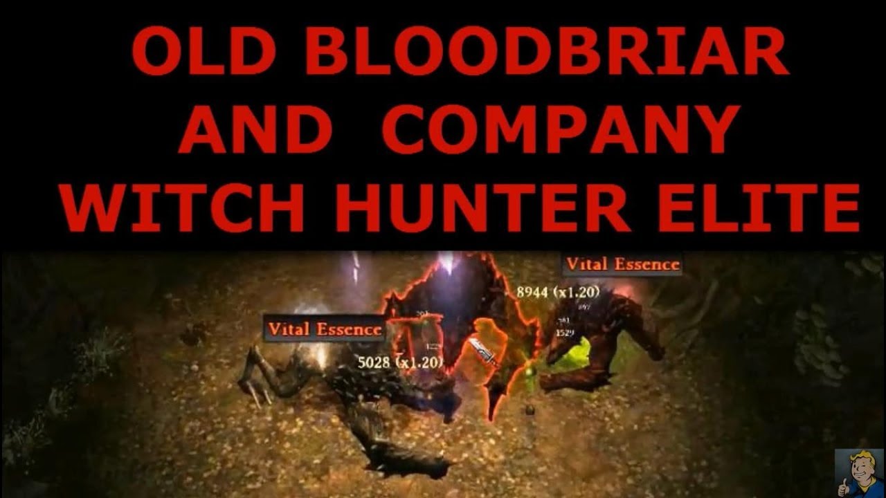 BOSS COMPILATION SHADED BASIN - WITCH HUNTER ELITE