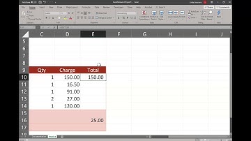 Excel Module 1 Project 1 Waterville Veterinary Hospital