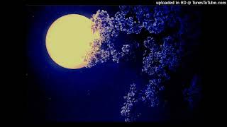 Moonlit Night Serenade and Dark Fantasy for Wind Ensemble, Live Recording