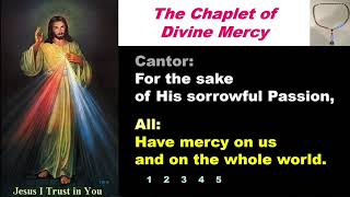 Chaplet of the Divine Mercy - Feast Day