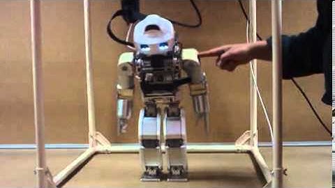 HOAP-3 humanoid robot: Task-based whole-body control of humanoid robots with ZMP regulation.