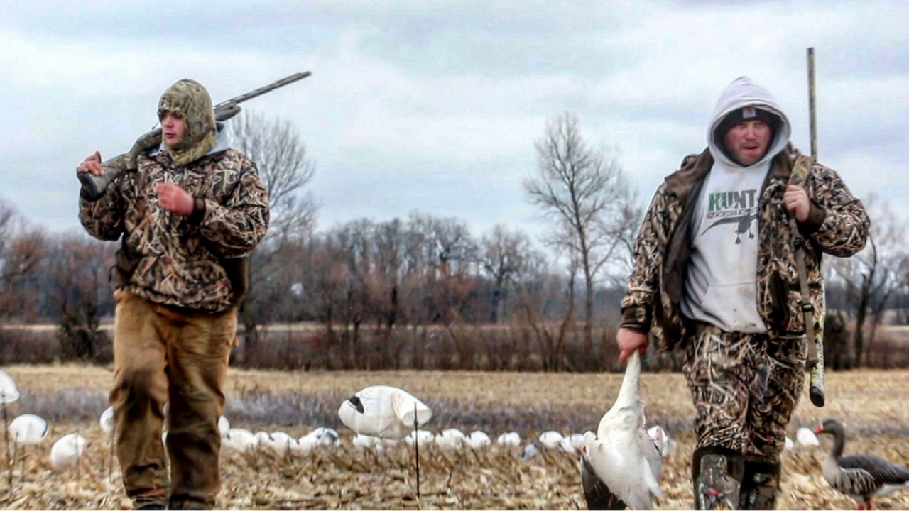 Snow Goose Hunting Illinois Migration 2017 YouTube