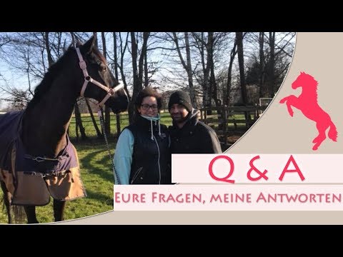 Wie viele Eskadron-Schabracken habe ich? Eure Fragen, meine Antworten!