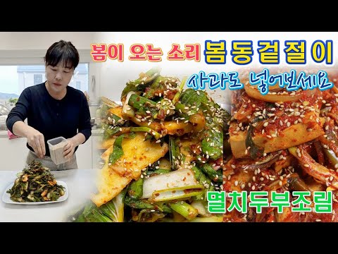 🔴 봄을 기다리는 마음 봄동겉절이, 국물까지 싹 비우는 멸치두부조림
