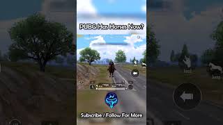 PUBG JUST GOT HORSES?! NO WAY 🤯🐎|| PUBG MOBILE || HECTIC10 #pubgmobile #pubg