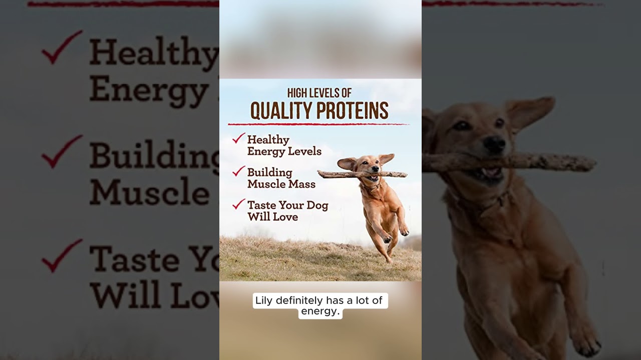 Unboxing Merrick Grain-Free Large Breed Dog Food - A Nutritious Choice for Your Pup 🐶🥔