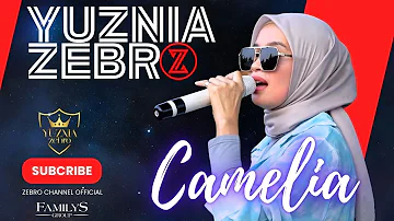 CAMELIA cover YUZNIA ZEBRO