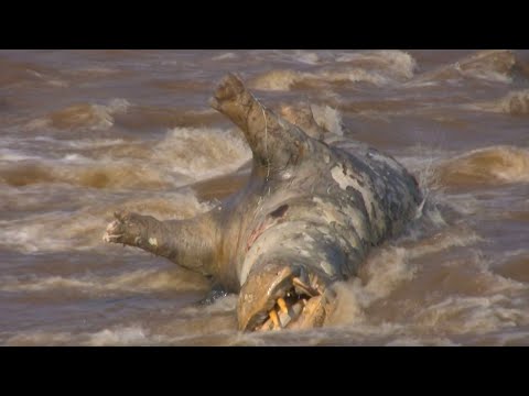 East Africa Safaris Part 2