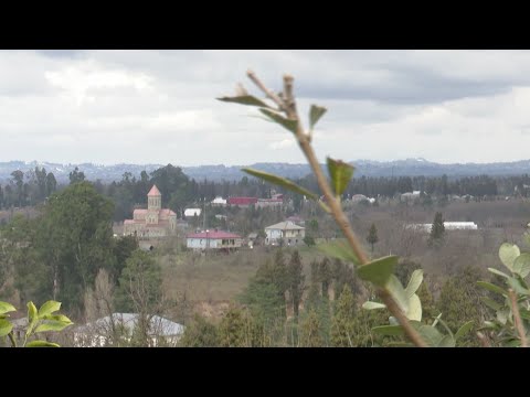 ქობულეთი სოფელი ლეღვა