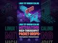 Linux TCP Window Scaling: Mitigating High Throughput Packet Drops