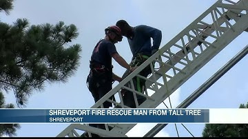 SFD rescues tree trimmer from tree
