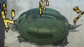 Coco Jumbo in a Nutshell