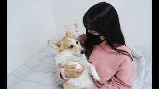 [Eng sub] My dog understands what I want just by watching my eyes