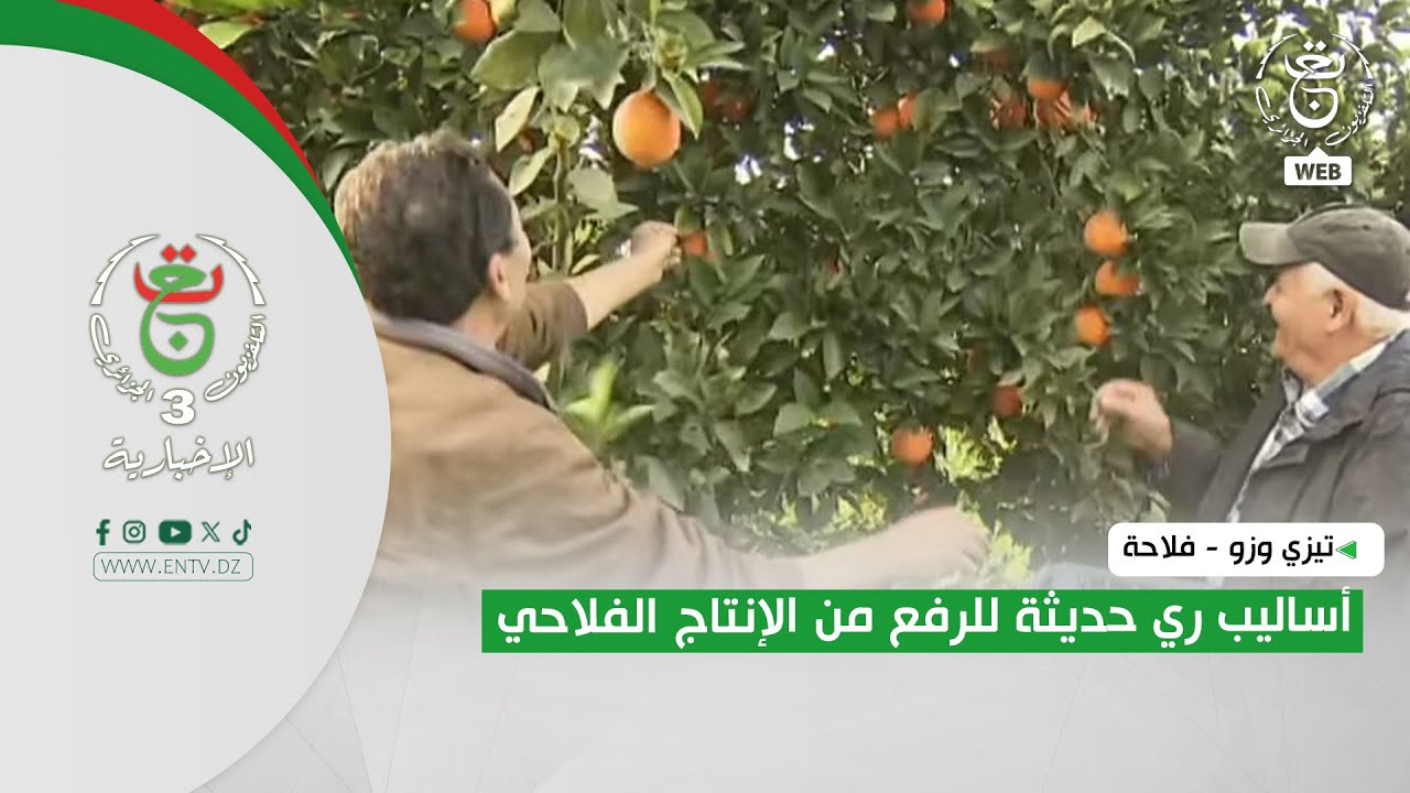 تيزي وزو - فلاحة | أساليب ري حديثة للرفع من الإنتاج الفلاحي