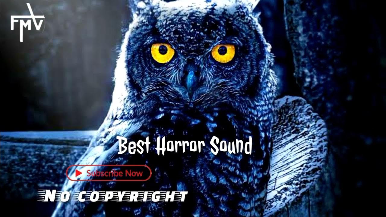 Spokey Owl Best horror sound in the world Horror background sound