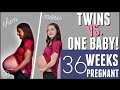 TWINS VS. ONE BABY: Comparing my Pregnancies | WEEK 36 UPDATE