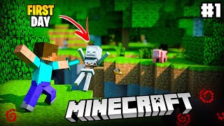 Playing Minecraft for the First Time || Minecraft Gameplay #1