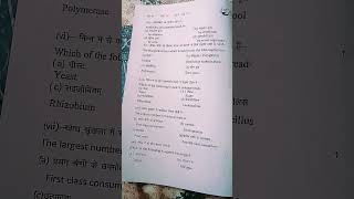 Uk Board Sdanle Paper