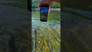 “Underwater iPhone Shot 📱💦”#iPhone #UnderwaterShot #iPhoneCamera #TechShort #ViralShort #Photography
