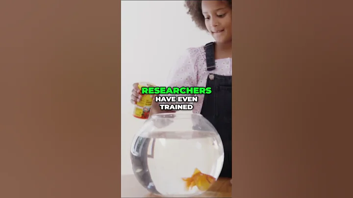 Goldfish Are Smarter Than You Think! #motivation #ViralShorts