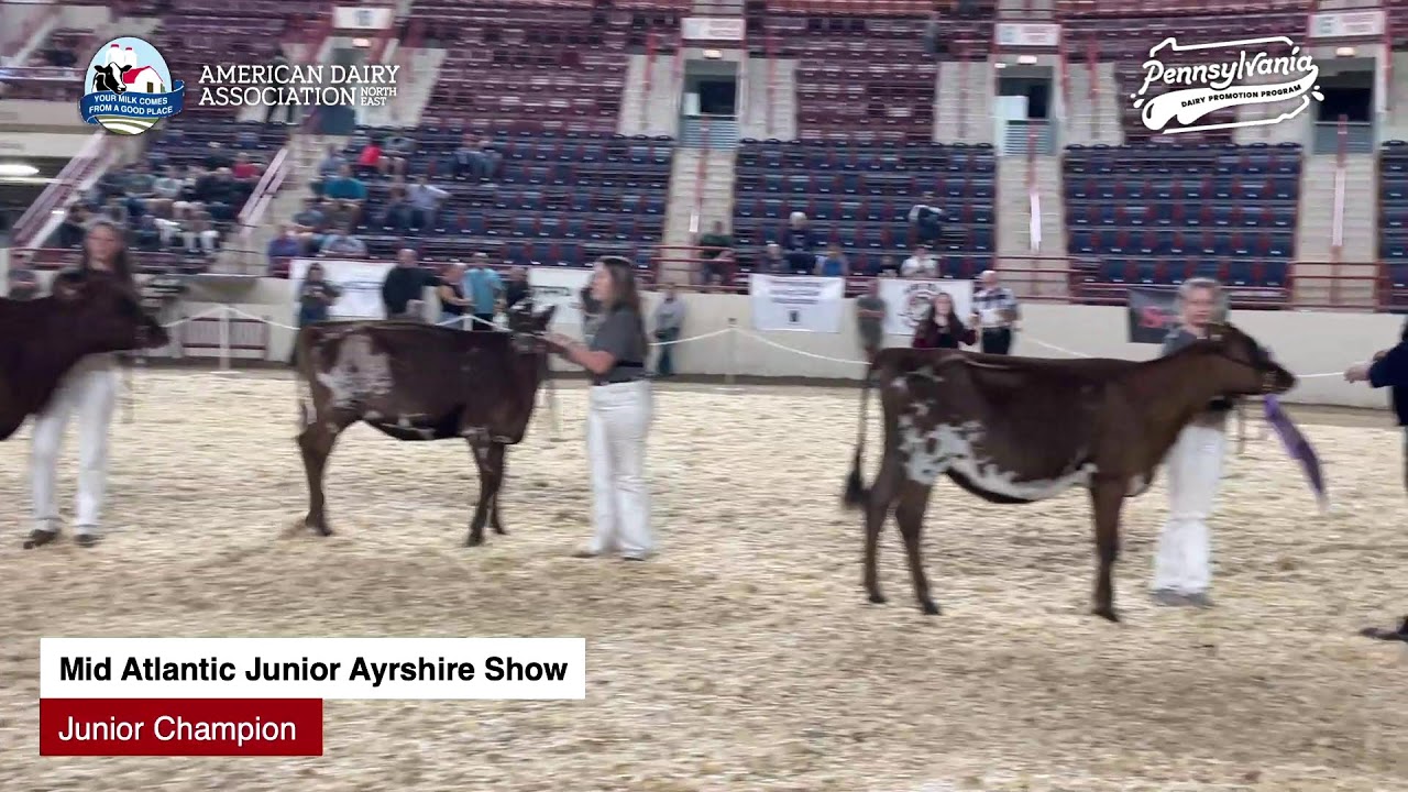 2025 AADS New Holland Arena - DAY 1