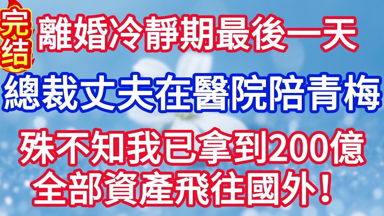 離婚冷靜期最後一天，總裁丈夫在醫院陪青梅，殊不知我已拿到200億全部資產飛往國外！#完结文#情感故事#一口气看完