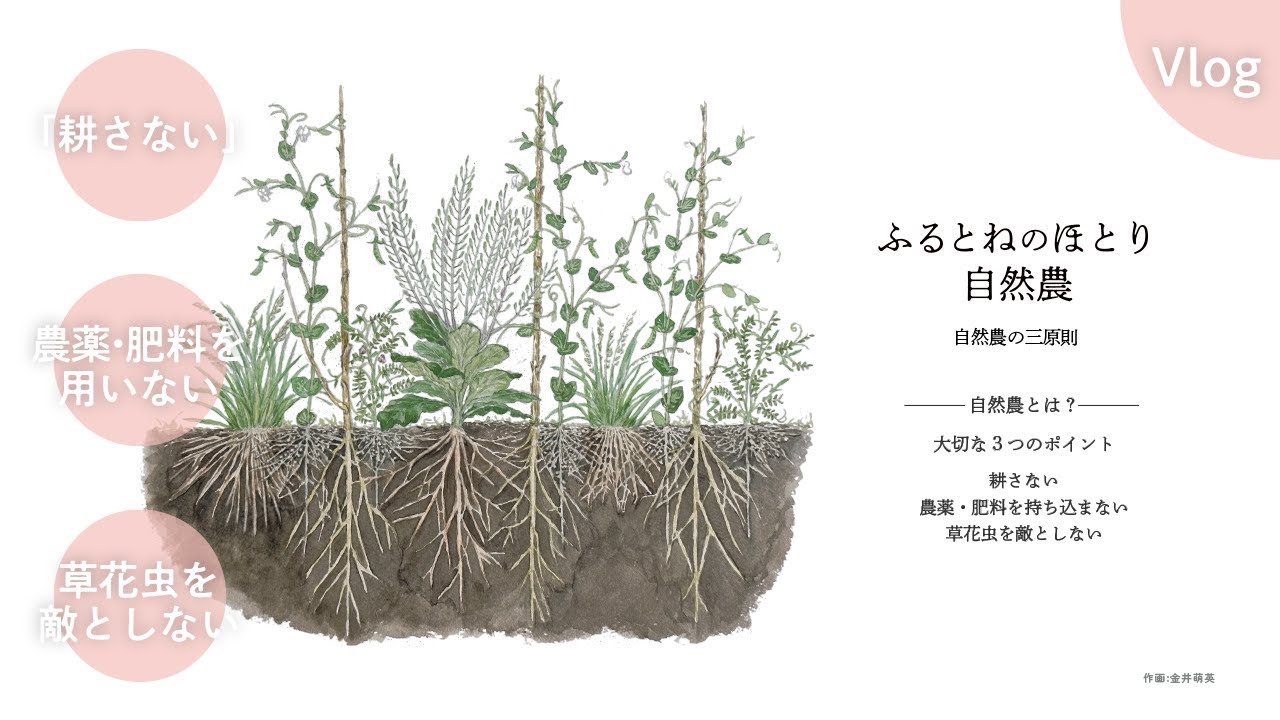 自然農の3原則《自然農ってなに？｜no.001｜》