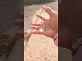 पूरा देखना👿☠️ओ भाई यह क्या हो गया 😱#shorts #shortvideo #subscribe #feed