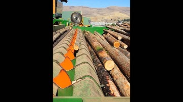 VLS - Vertical Log Singulator