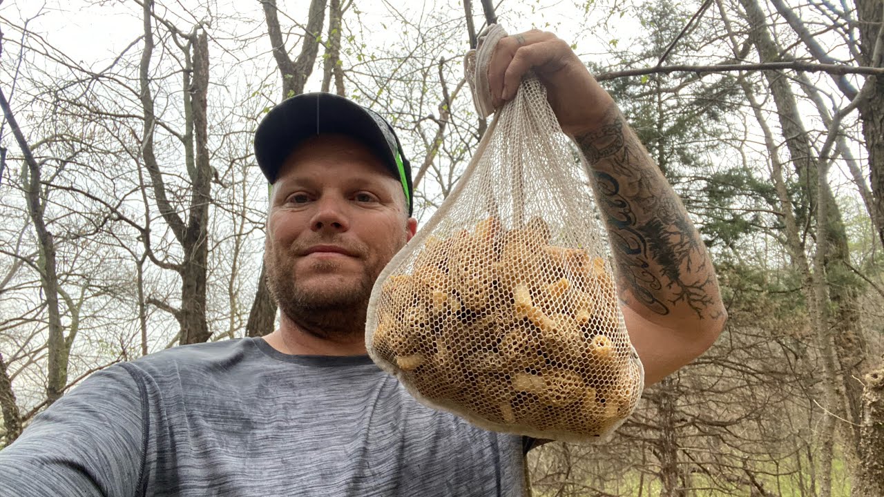 Mushroom hunting live action 