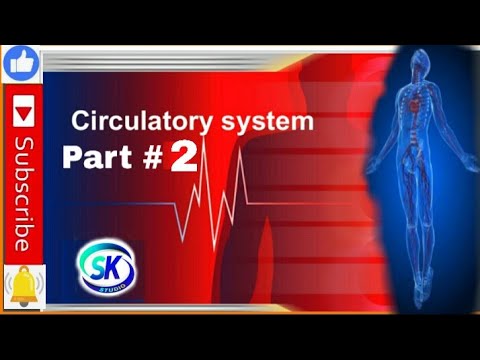 Circulatory System part #2 रक्त परिशंचरन तंत्र Physical Education - YouTube