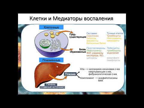 воспаление 2