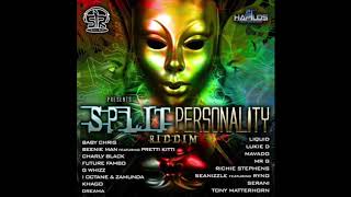 2013 SPLIT PERSONALITY RIDDIM MIX