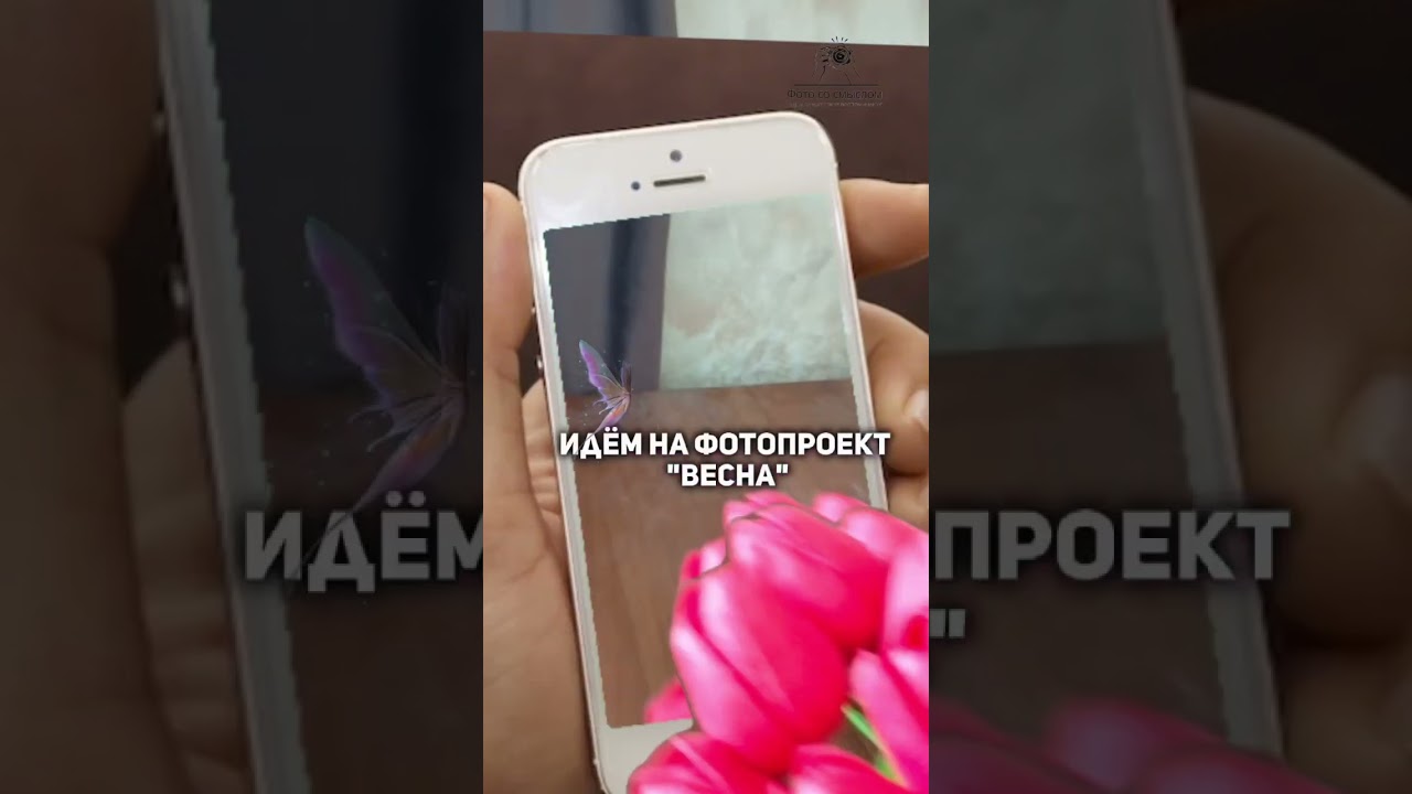 Весенняя красота и нежность на фотосессии с тюльпанами 