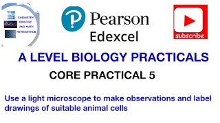 Using a microscope to observe, draw and label cells | Core practical 5