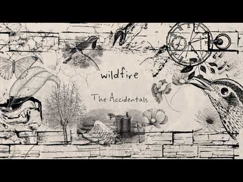 The Accidentals - Wildfire (First Single TIME OUT EP)