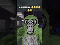 Gorilla tag joke (Mine)