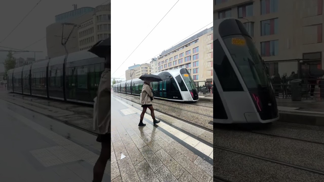 Самая крутая привилегия Люксембурга: БЕСПЛАТНЫЙ общественный транспорт!