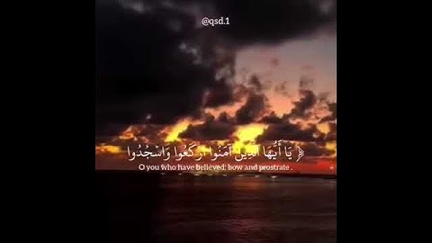 عبدالرحمن مسعد تلاوة خاشعة القارئ عبد الرحمن مسعد