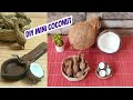 Diy miniature coconuthow to make tiny coconutminiature coconuteasy method to make mini coconut