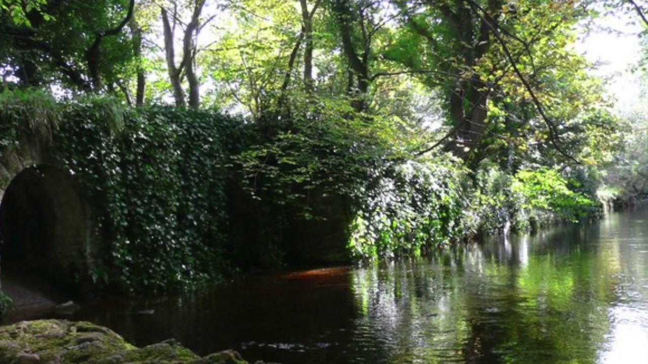 Celtic Harp. Yn Bollan Bane 1. Manx Traditional