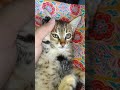 Viral Trending Newvideo Explore Mustwatch Youtube Fyp Ytshorts Subscribe 2025 Viral Trending Newvideo Explore Mustwatch Youtube Fyp Ytshorts Subscribe 2025