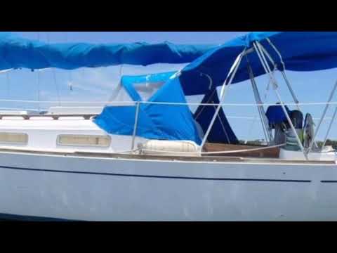 Sailing The Blue Iguana