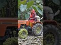 नयू एआई वीडियो केसागा
