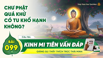 Chư Phật quá khứ có tu khổ hạnh không? - Kinh Mi Tiên Vấn Đáp câu 164 | Bài 99