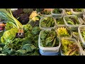 First real hungry gap weekly harvest ~ abundance in April